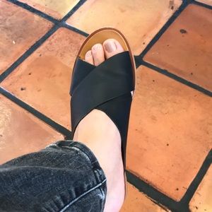 Anthropologie Slides